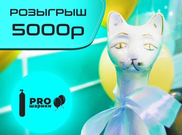 Розыгрыш №26: денежный приз 5000 ₽ от PROшарики