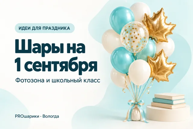 Шары на 1 сентября в Вологде: декор для школьной фотозоны и класса