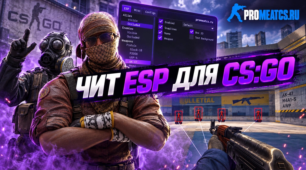 Чит «ESP» (ЕСП) для CS:GO (КС ГО)