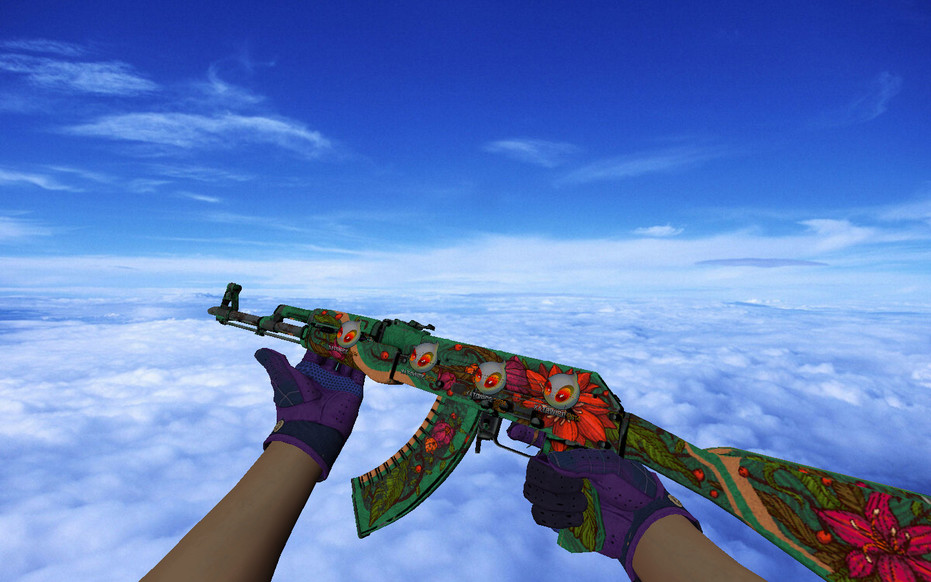 АК-47 | Дикий лотос с Dignitas Holo для CS 1.6 — скриншот 1