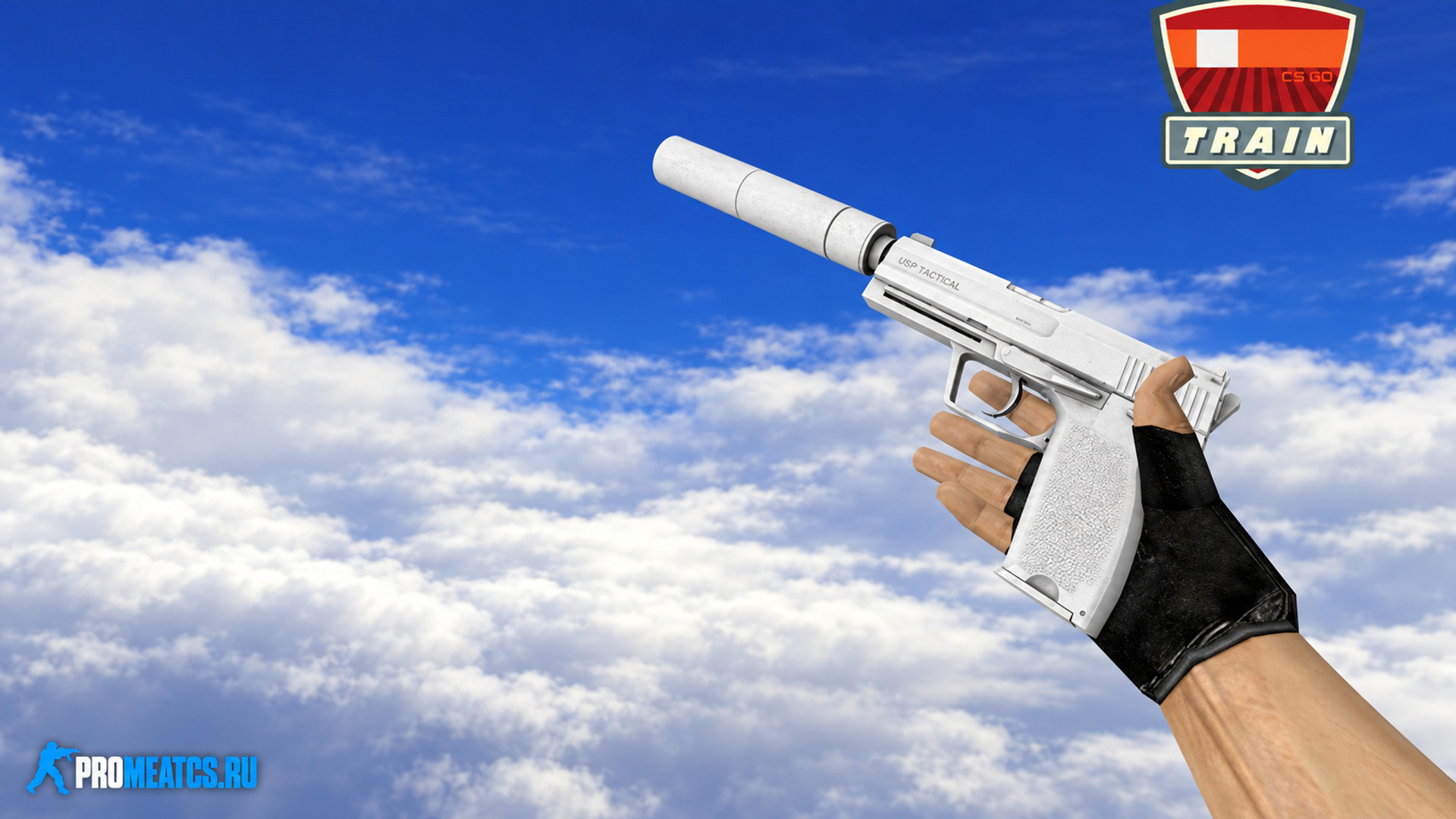 Скин USP-S - Побелка (Whiteout) для CS 1.6 — скриншот 1