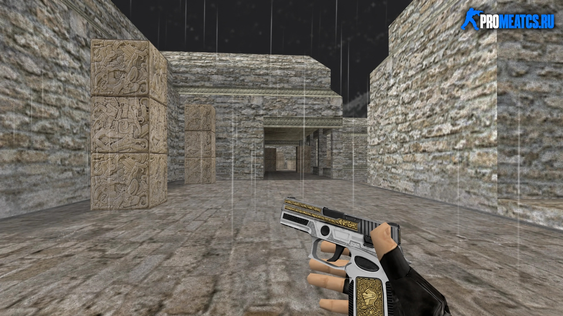 Модель HD P250 «Patrician Bimetal» для CS 1.6 — скриншот 1