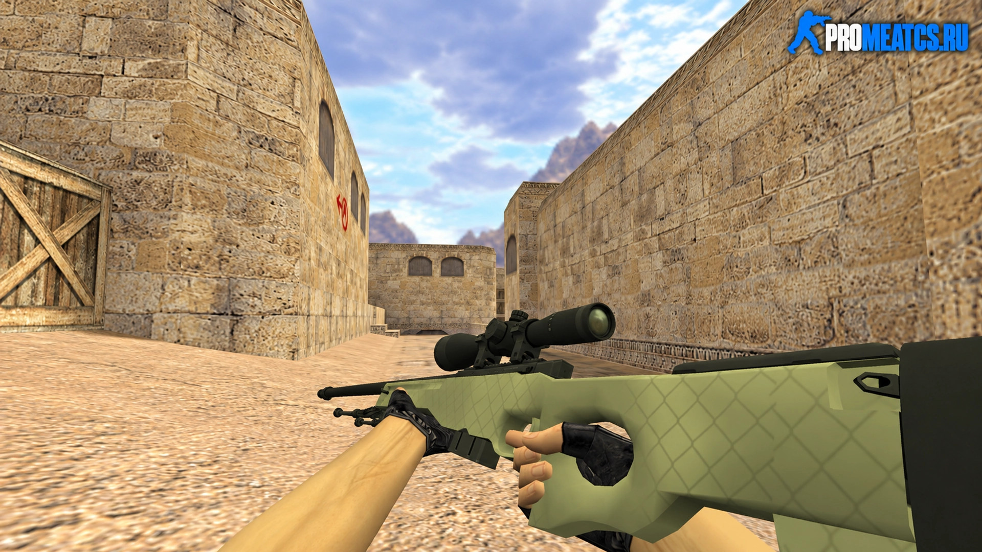 Модель AWP «Африканская сетка» для CS 1.6 — скриншот 1