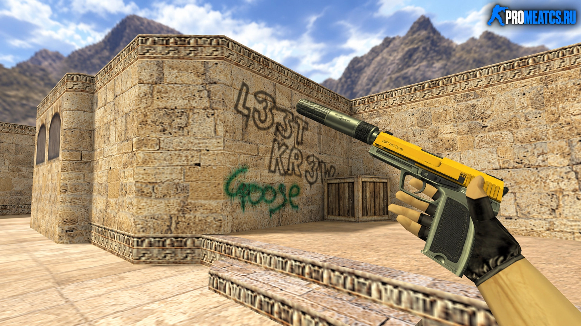 Модель USP Топливный инжектор для CS 1.6