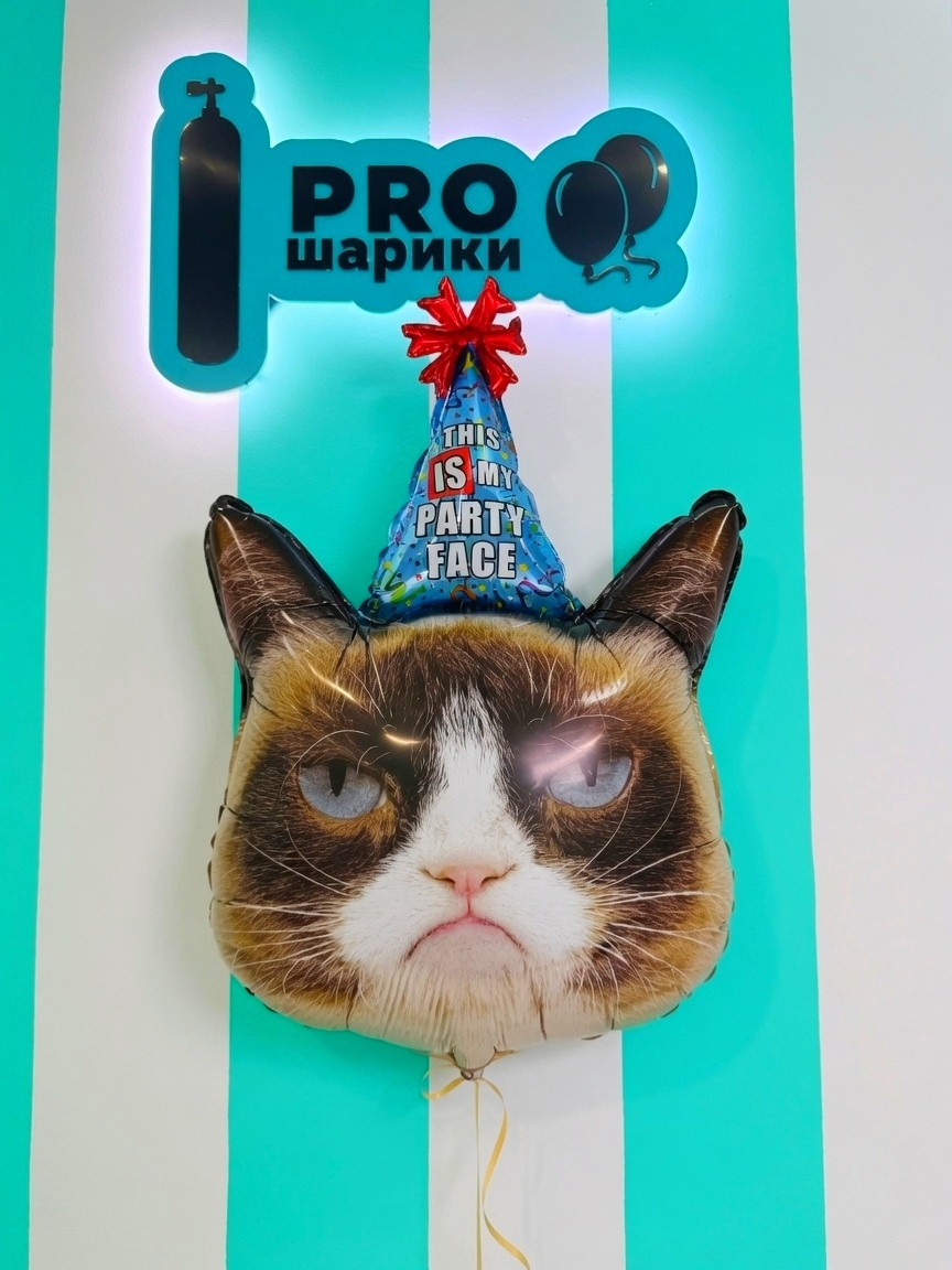 Фольгированный шар Кот This is my party face